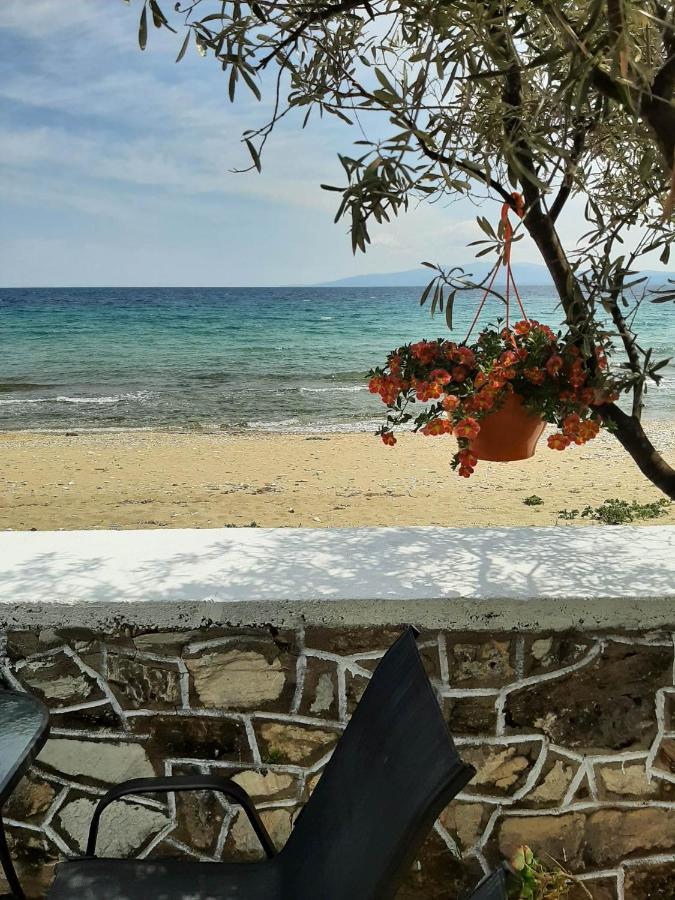House Kokkalas On The Beach Пиргадикия Екстериор снимка