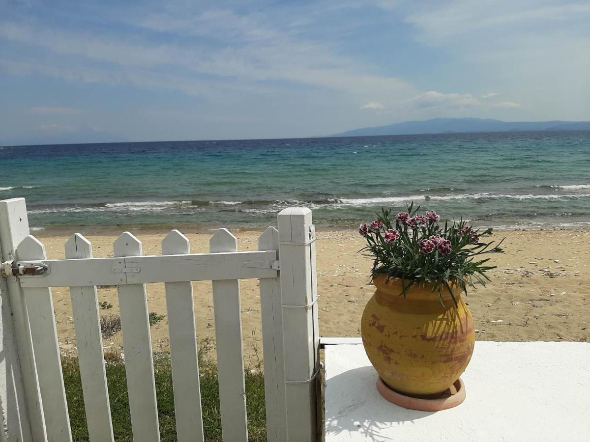 House Kokkalas On The Beach Пиргадикия Екстериор снимка
